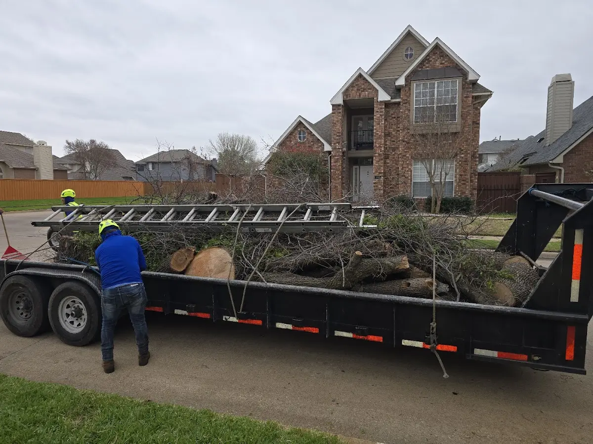 Expert Tree Fertilization with proper safety equipment in Herrick